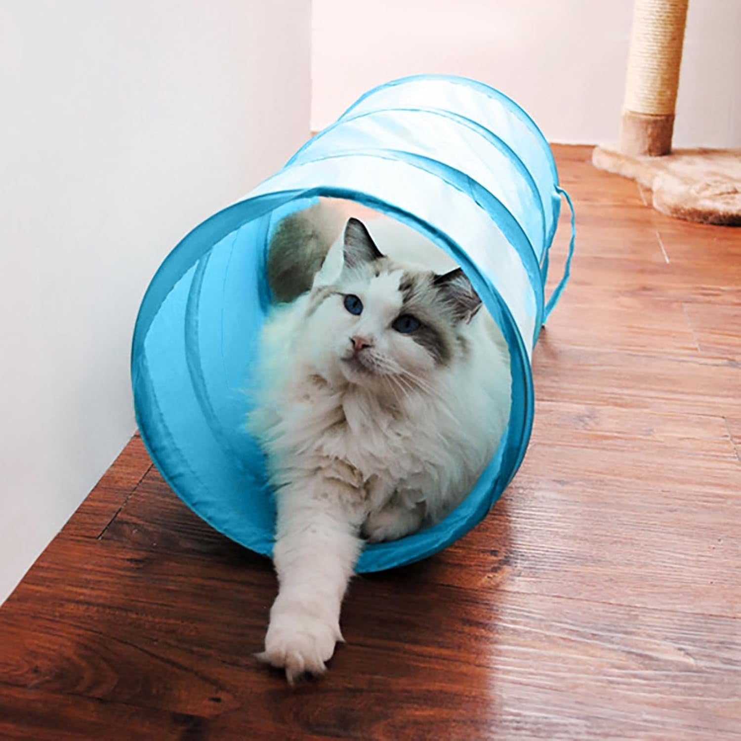 Cat Tunnel for Indoor Cats Interactive, Rabbit Tunnel Toys, Pet Toys Play Tunnels for Cats Kittens Rabbits Puppies Crinkle Collapsible