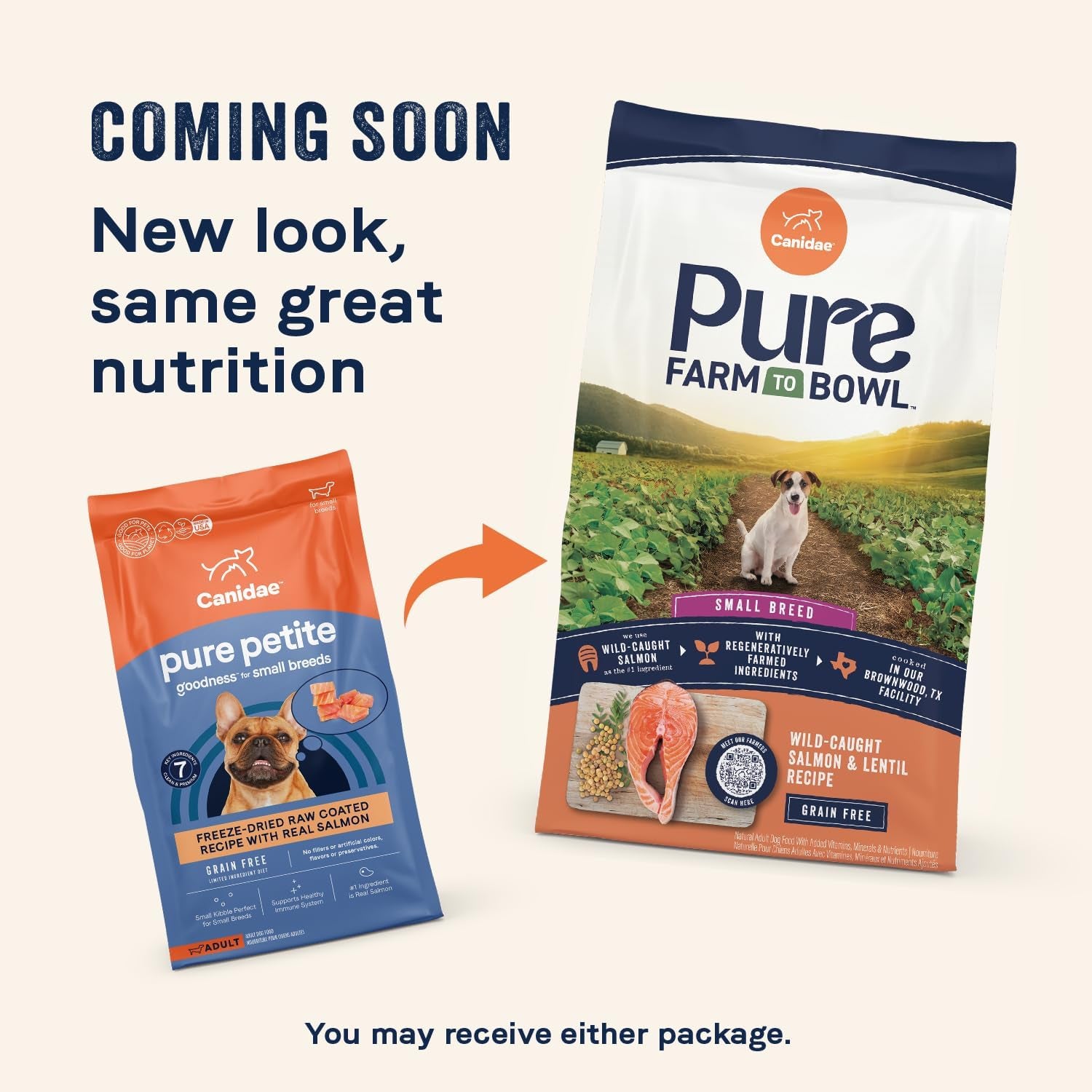 PURE Petite Limited Ingredient Premium Small Breed Adult Dry Dog Food, Grain Free, Premium Clean Proteins